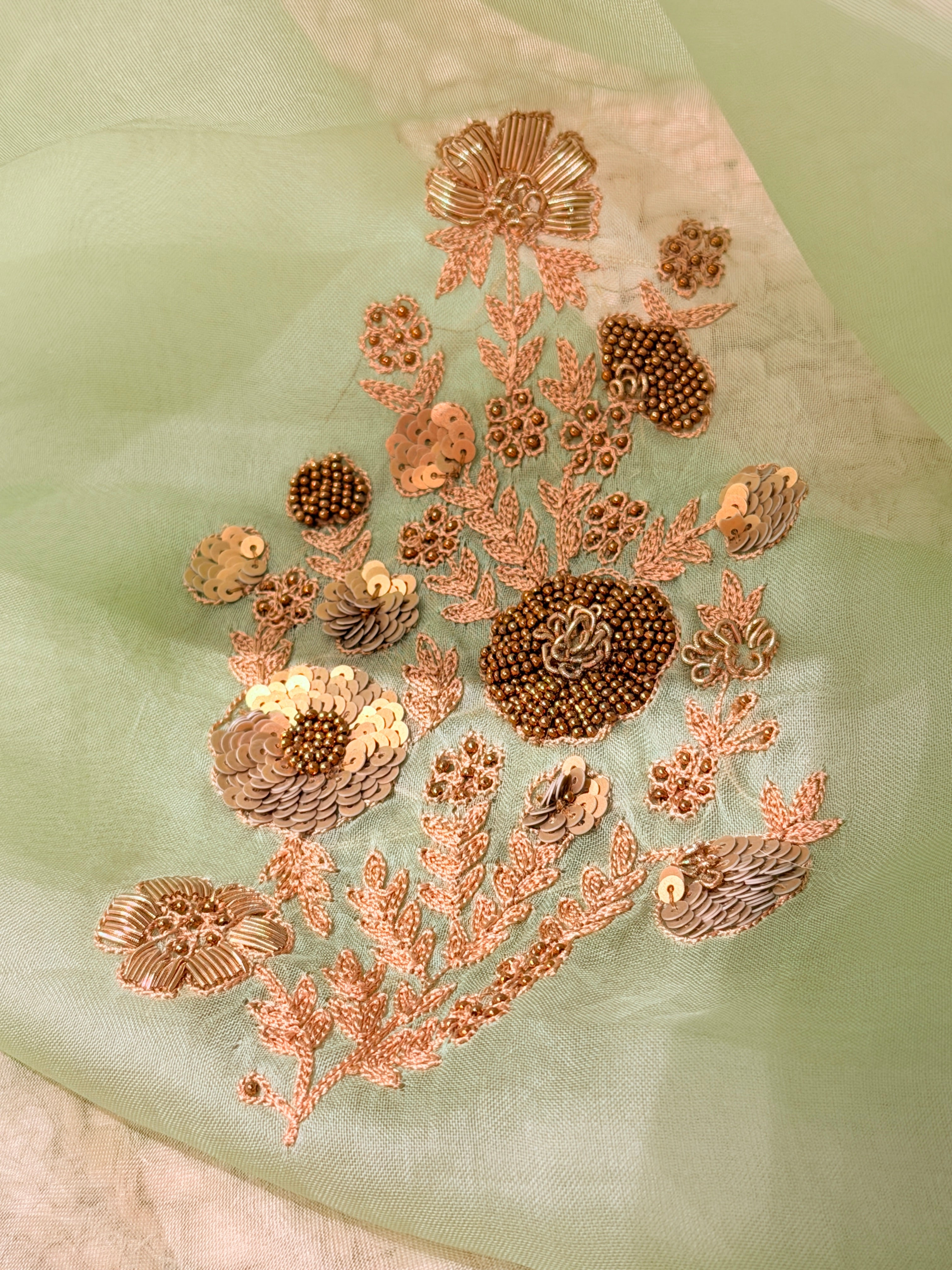 Sheer Pista Bageecha Saree