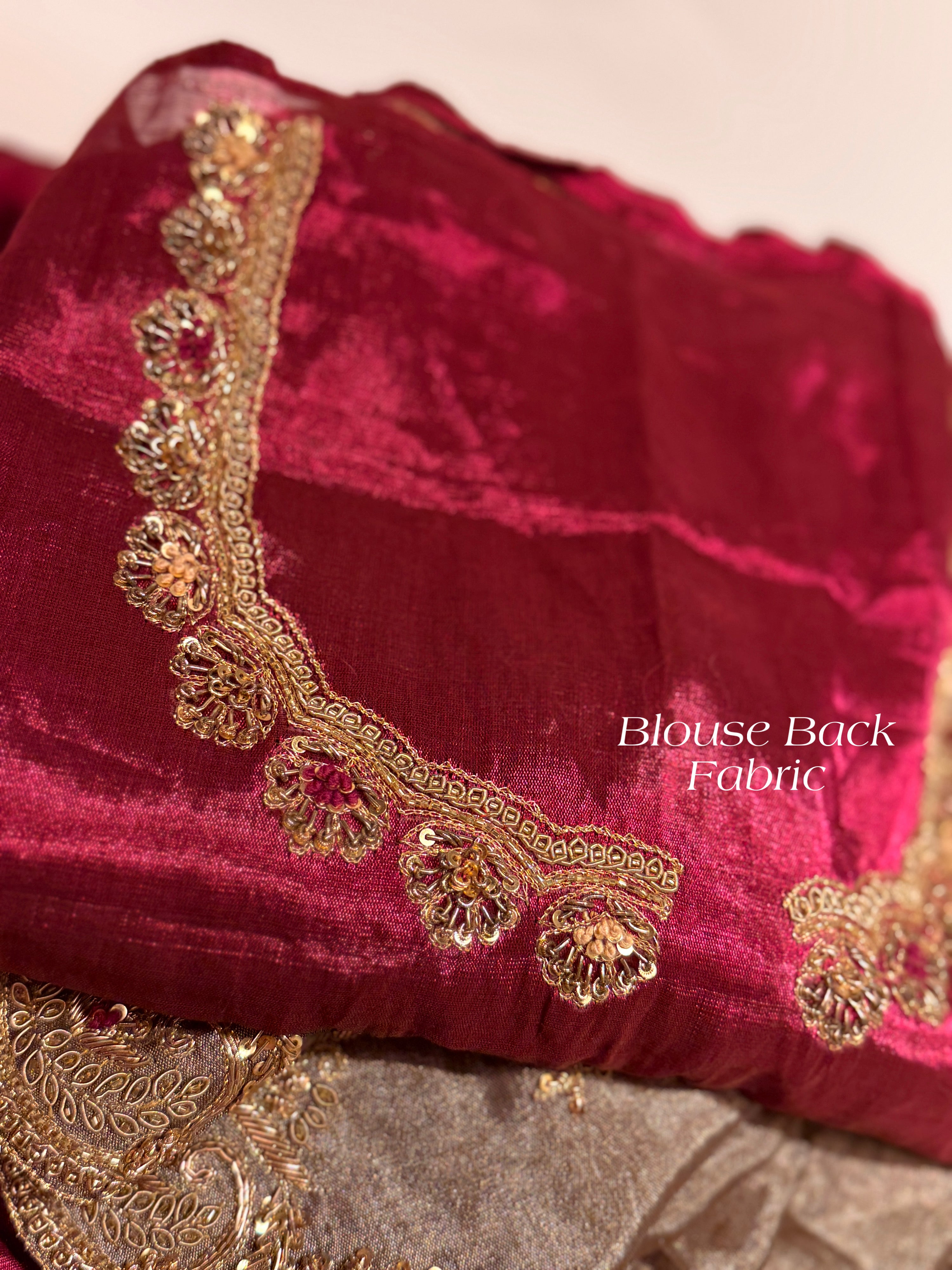 Abroo classic Tissue Zardosi Saree