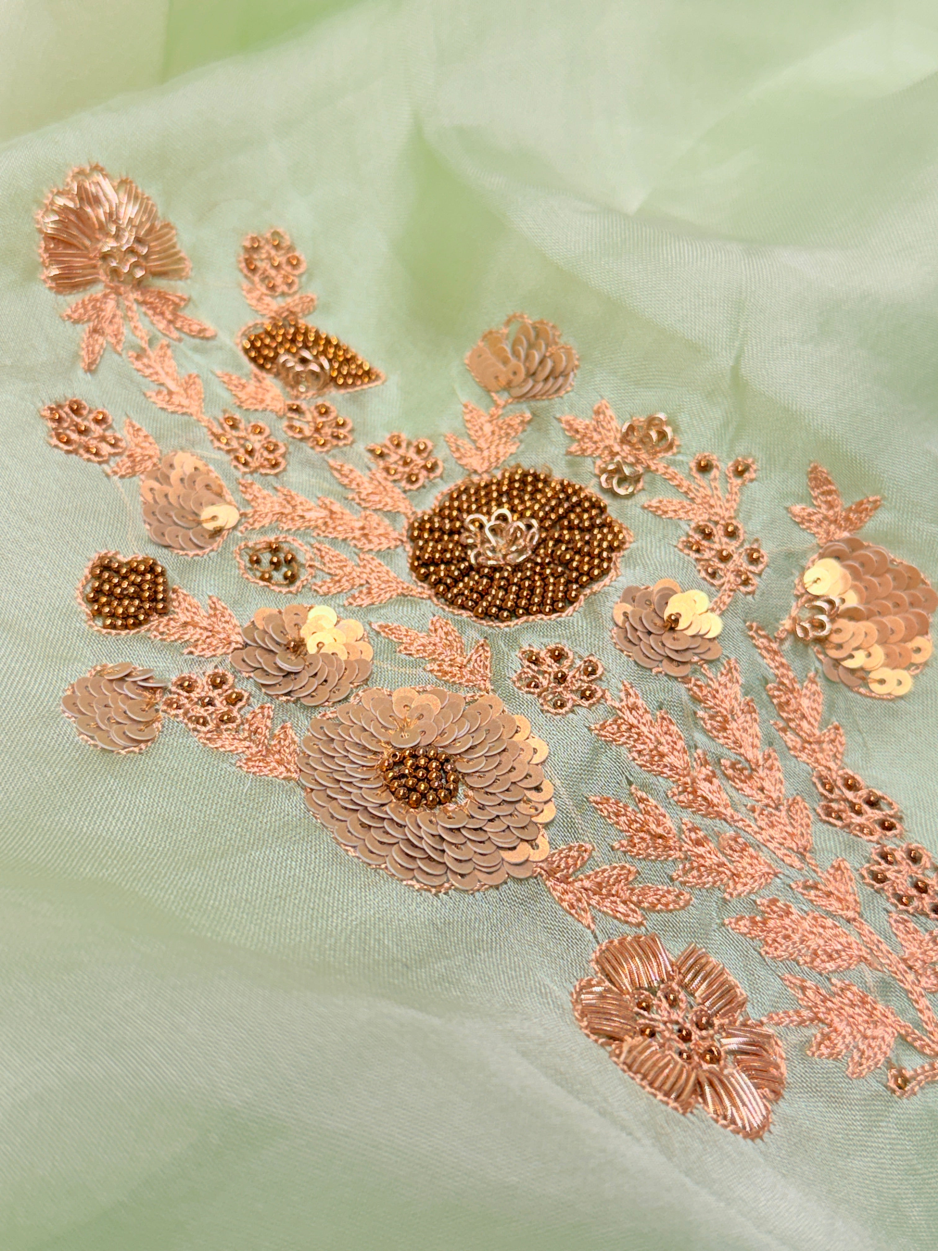 Sheer Pista Bageecha Saree