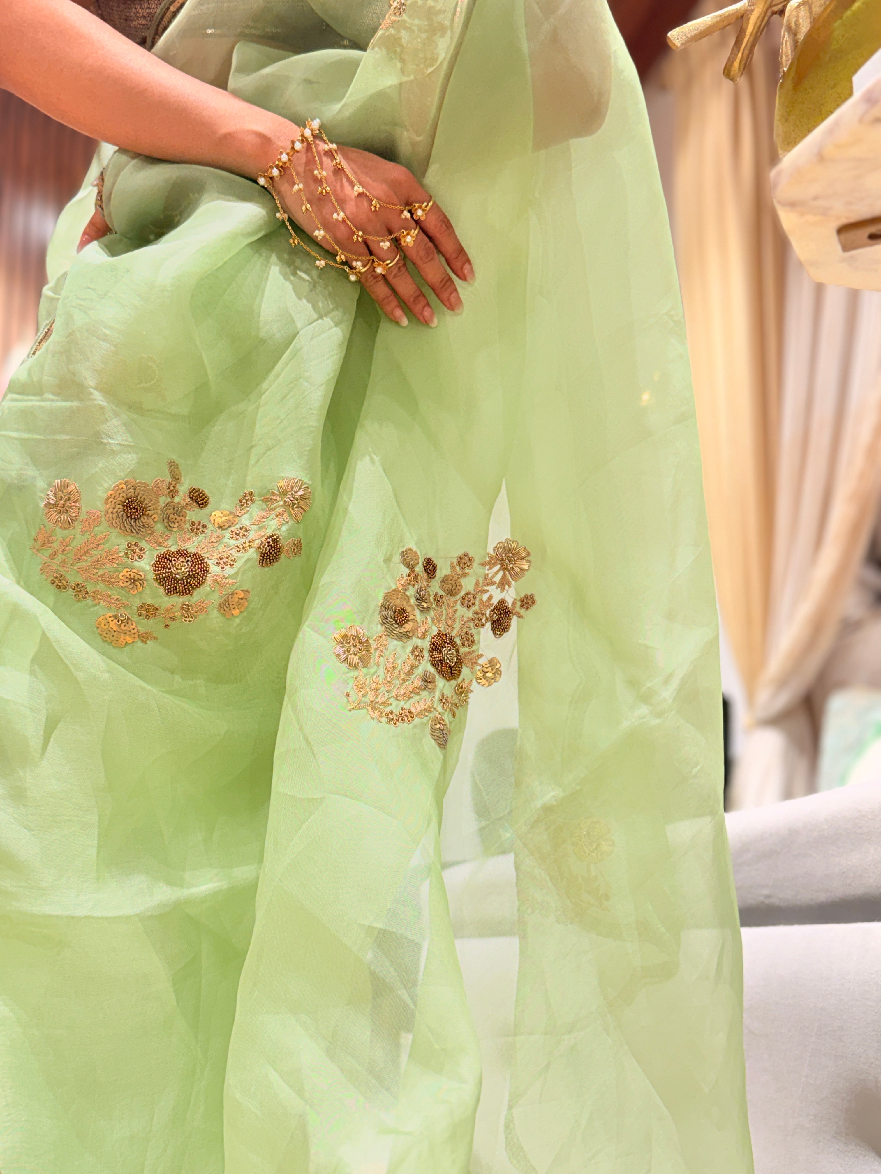 Sheer Pista Bageecha Saree