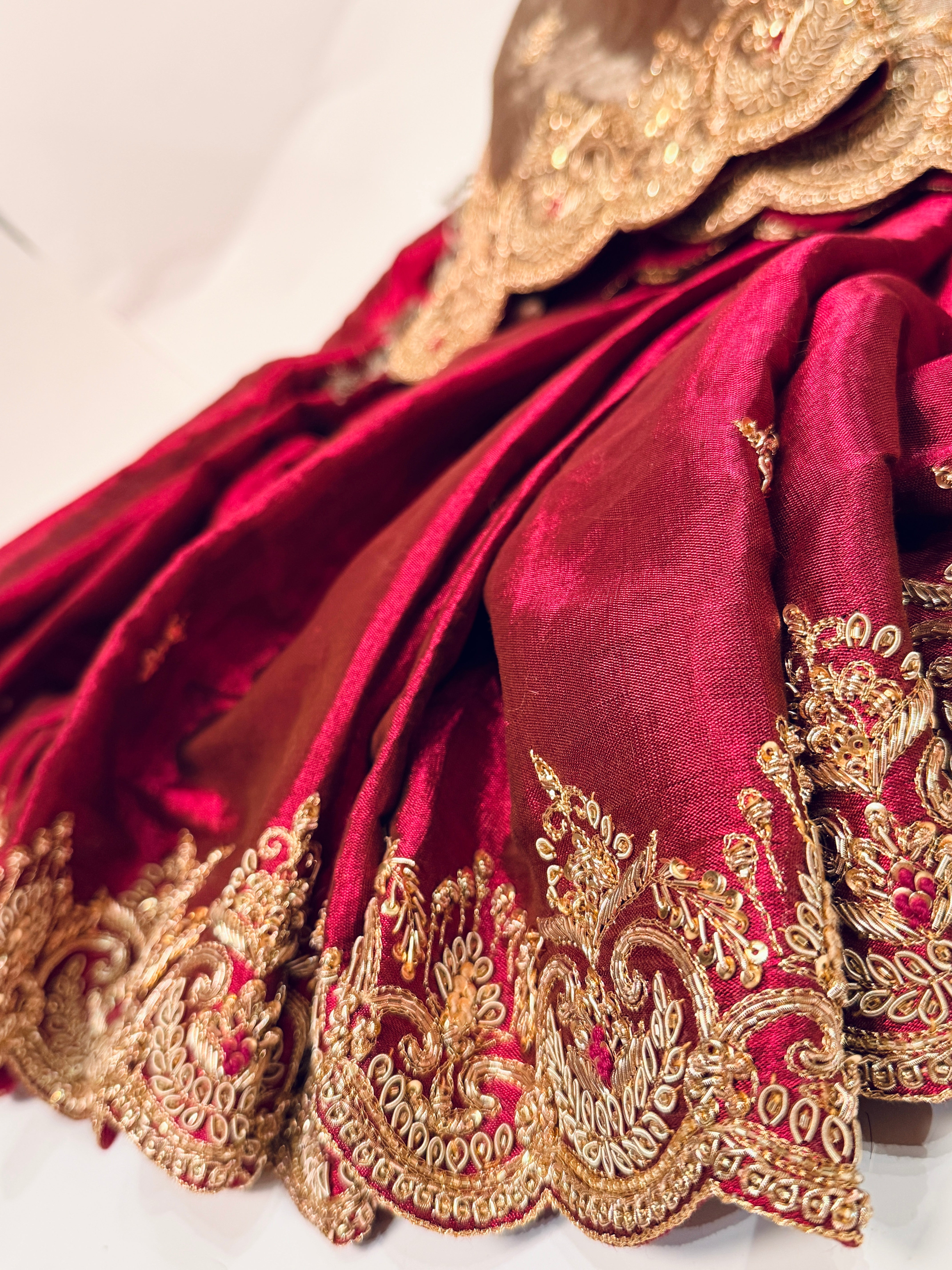 Abroo classic Tissue Zardosi Saree