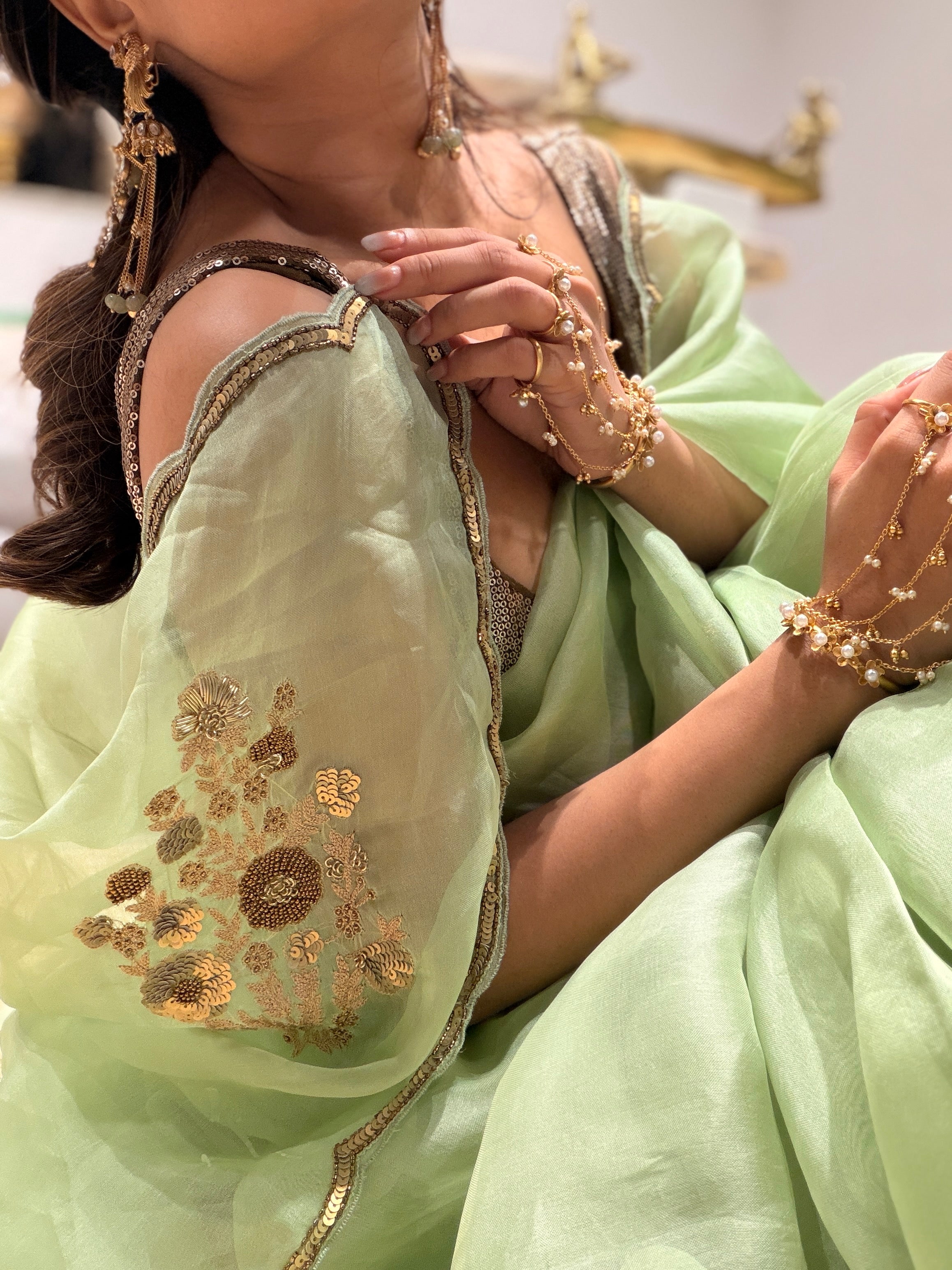 Sheer Pista Bageecha Saree