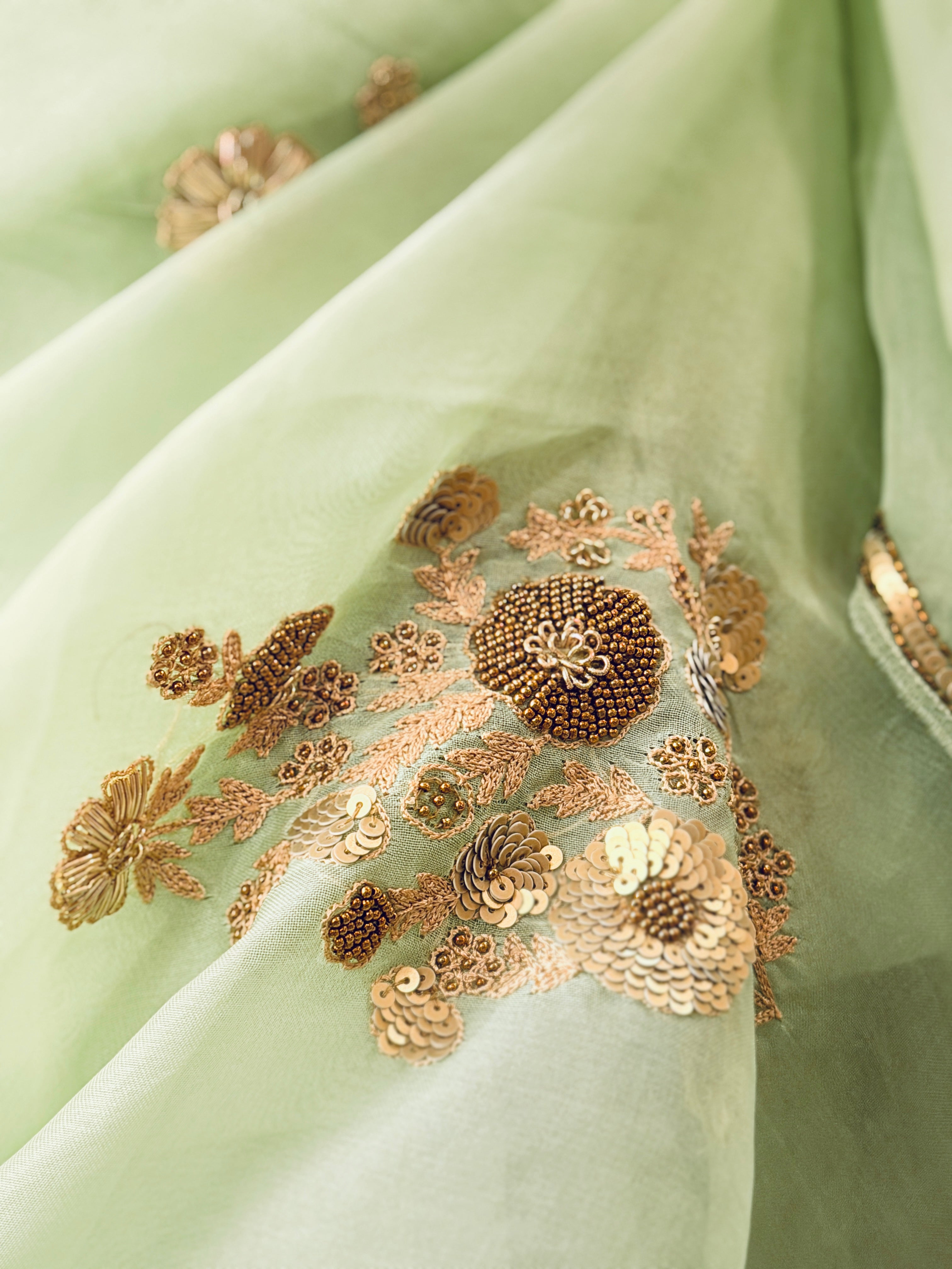 Sheer Pista Bageecha Saree