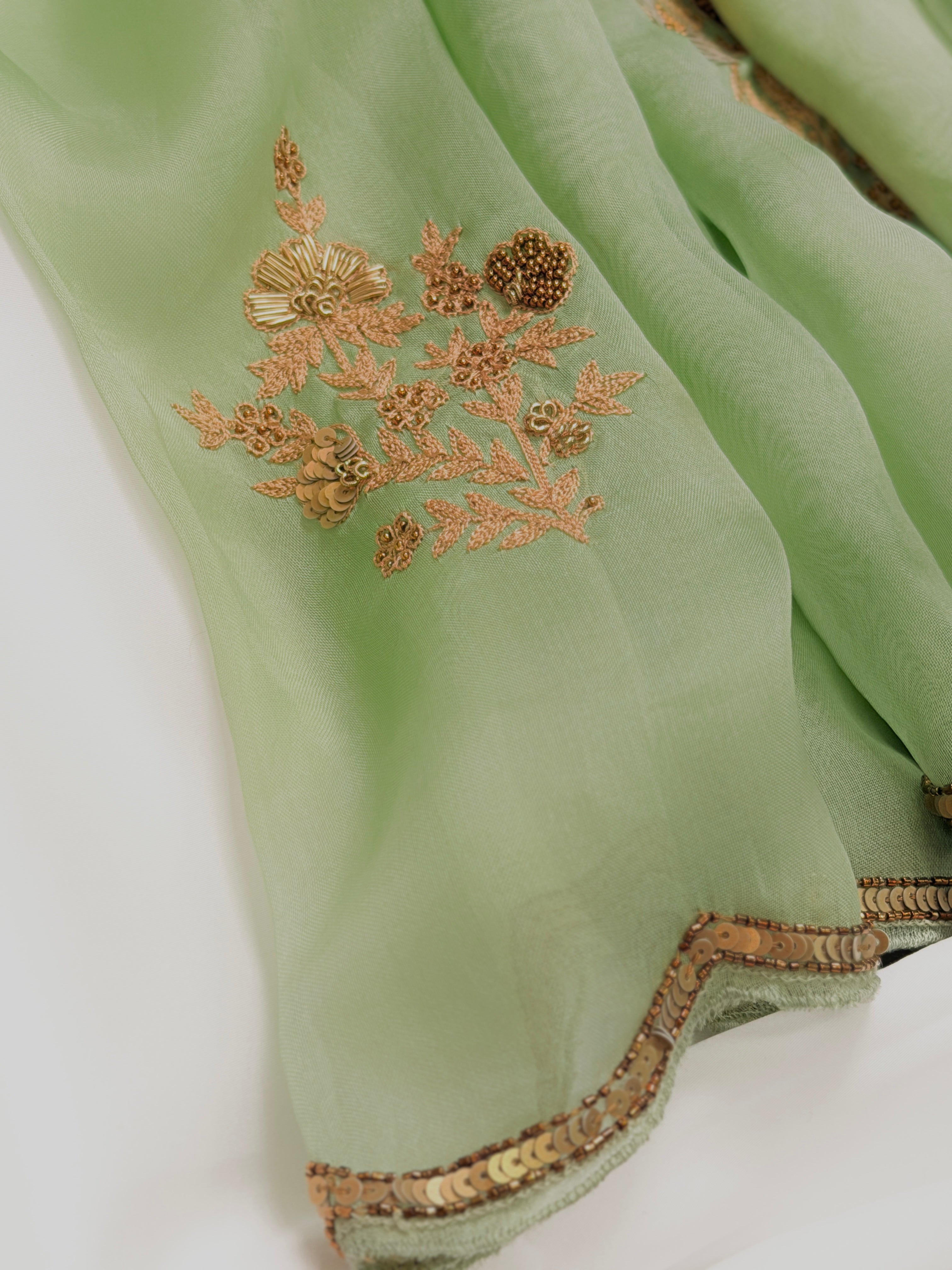 Sheer Pista Bageecha Saree