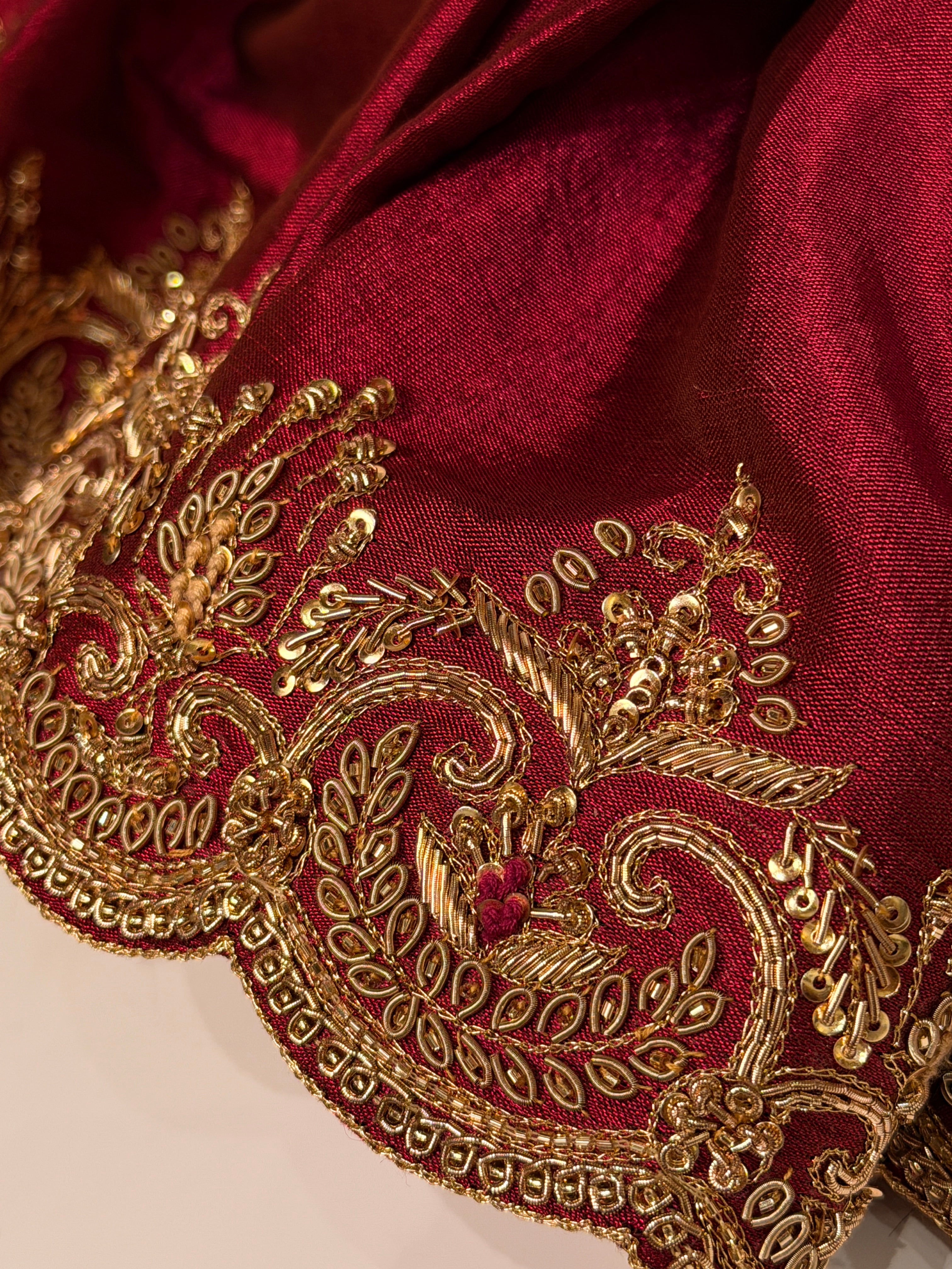 Abroo classic Tissue Zardosi Saree