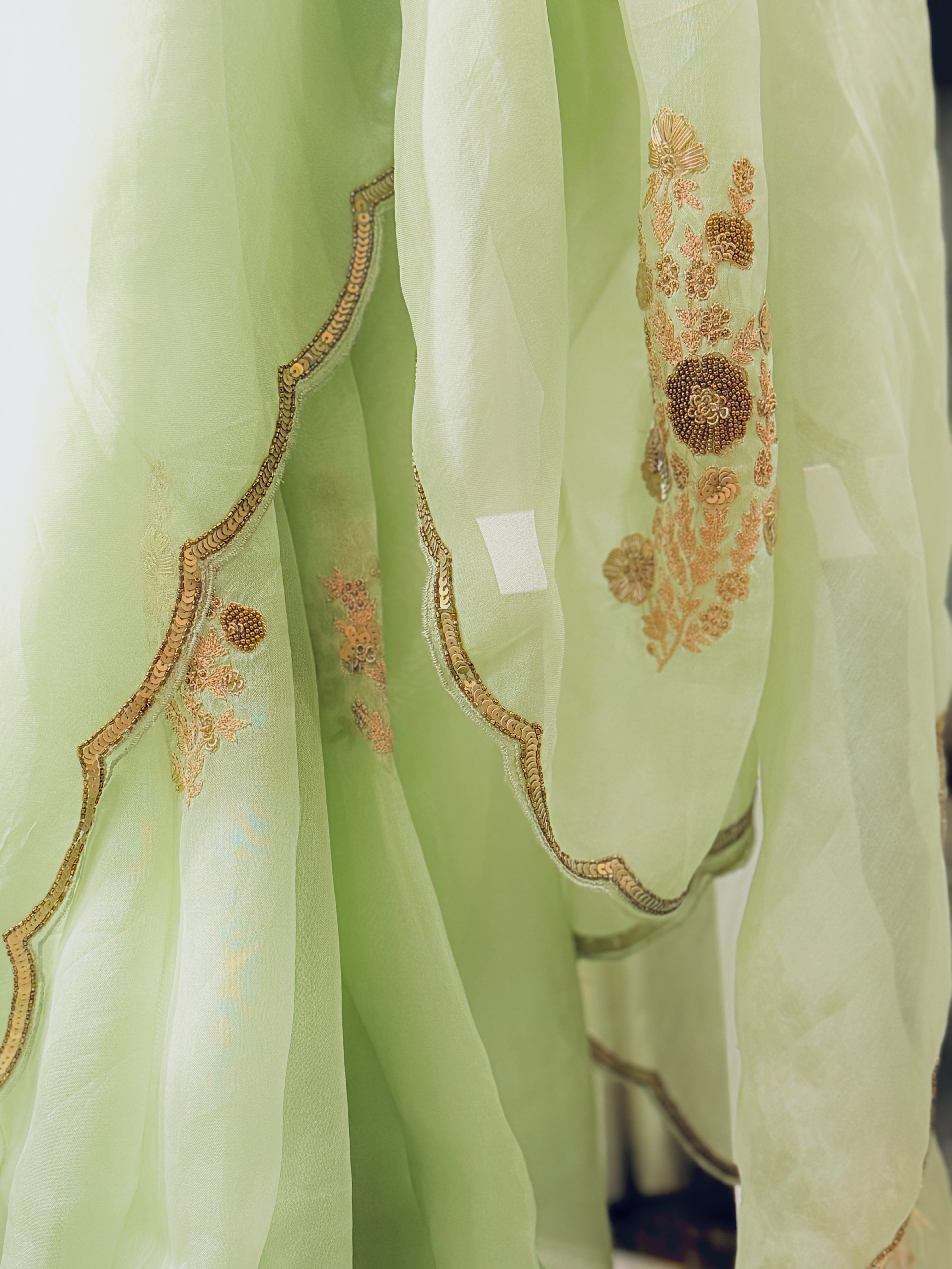 Sheer Pista Bageecha Saree