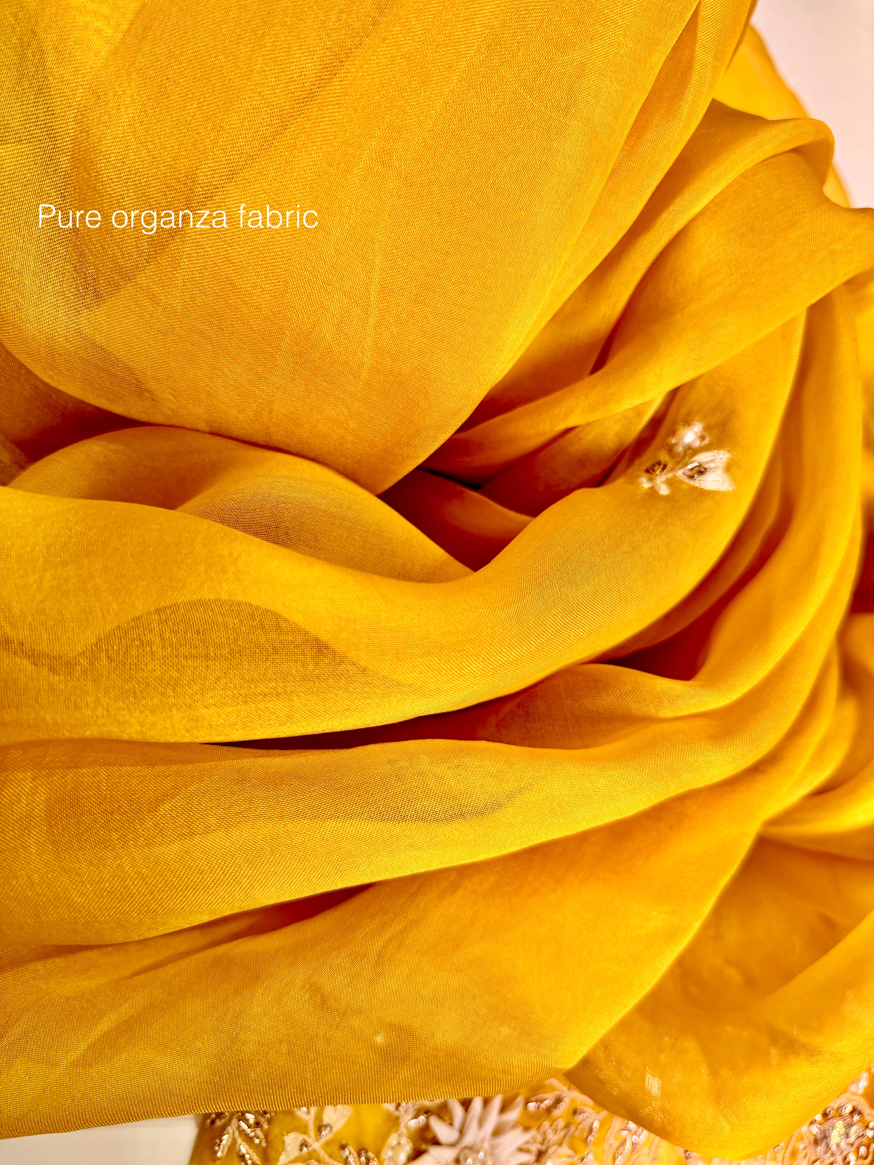 Sunshine Mukaish pure organza