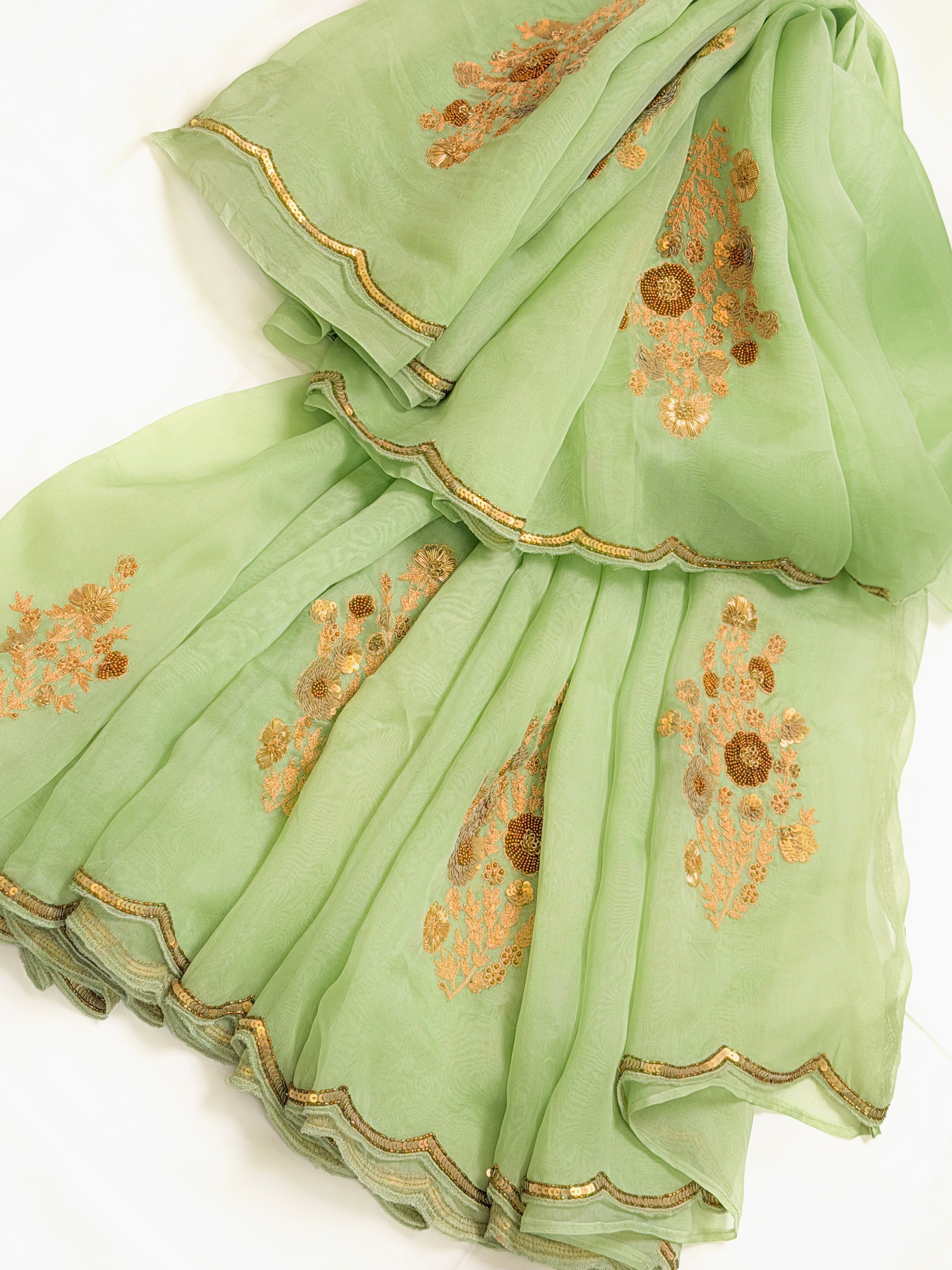 Sheer Pista Bageecha Saree