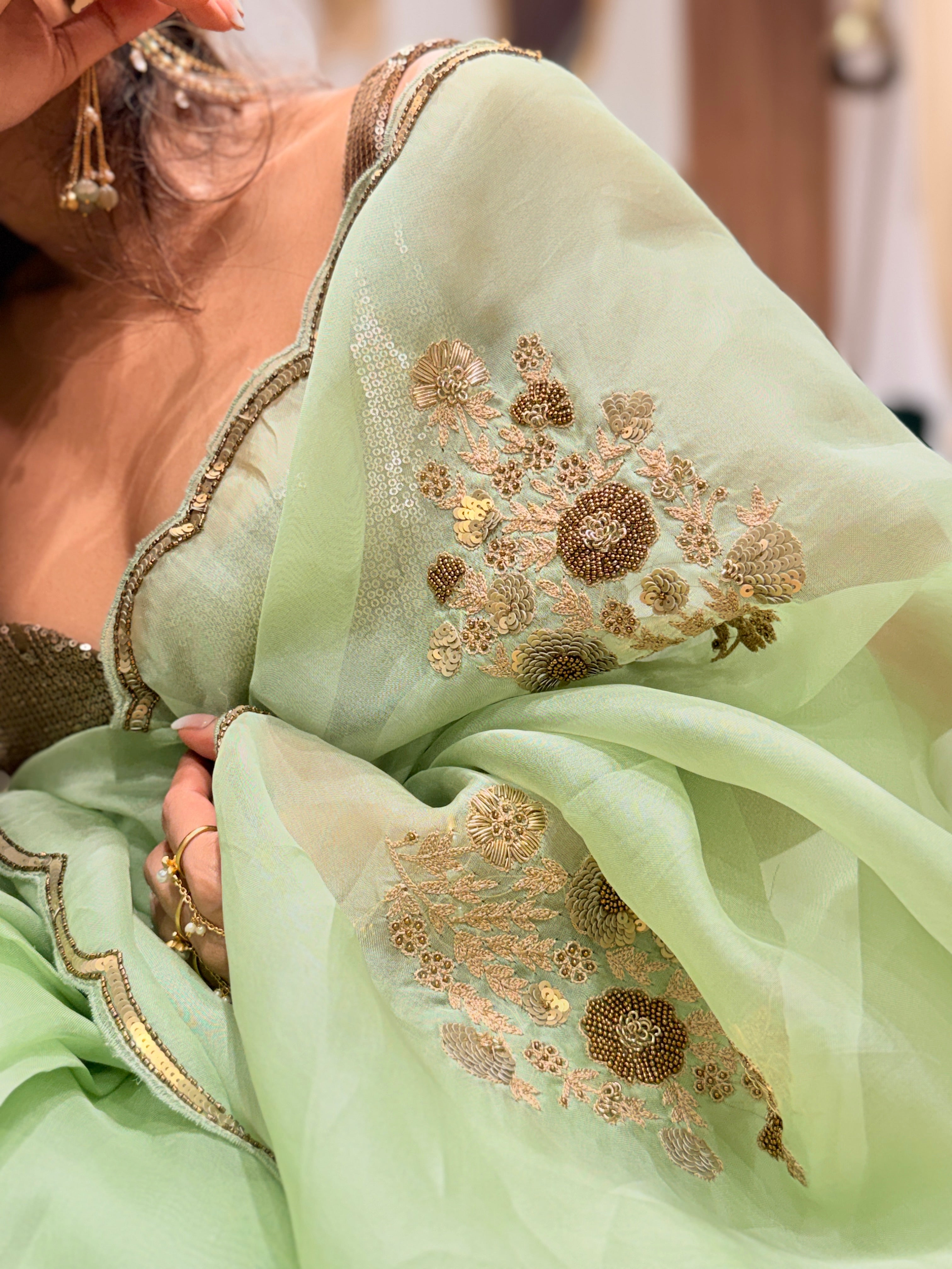 Sheer Pista Bageecha Saree