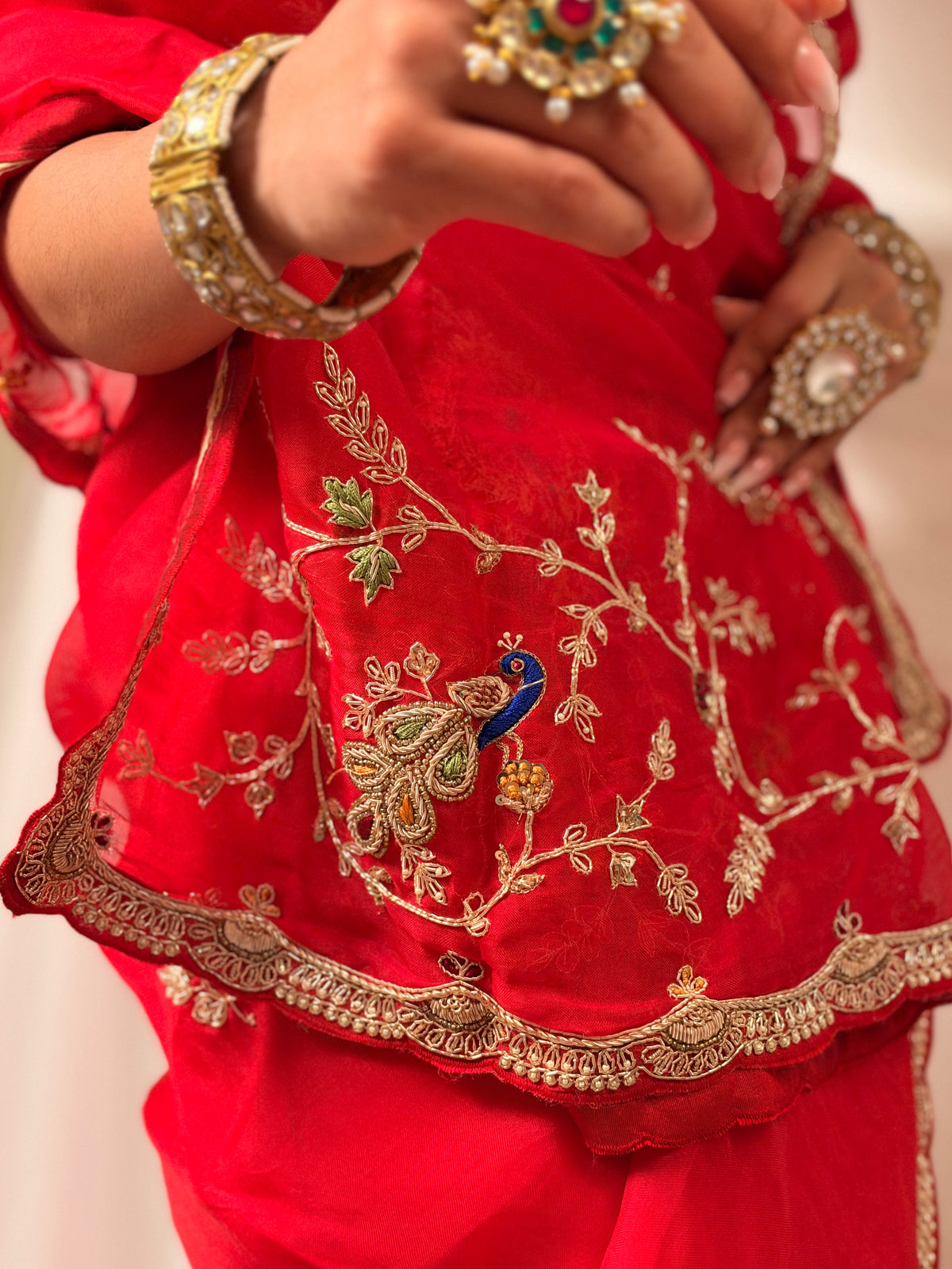 Laal Ishq zardosi kora Banarasi saree