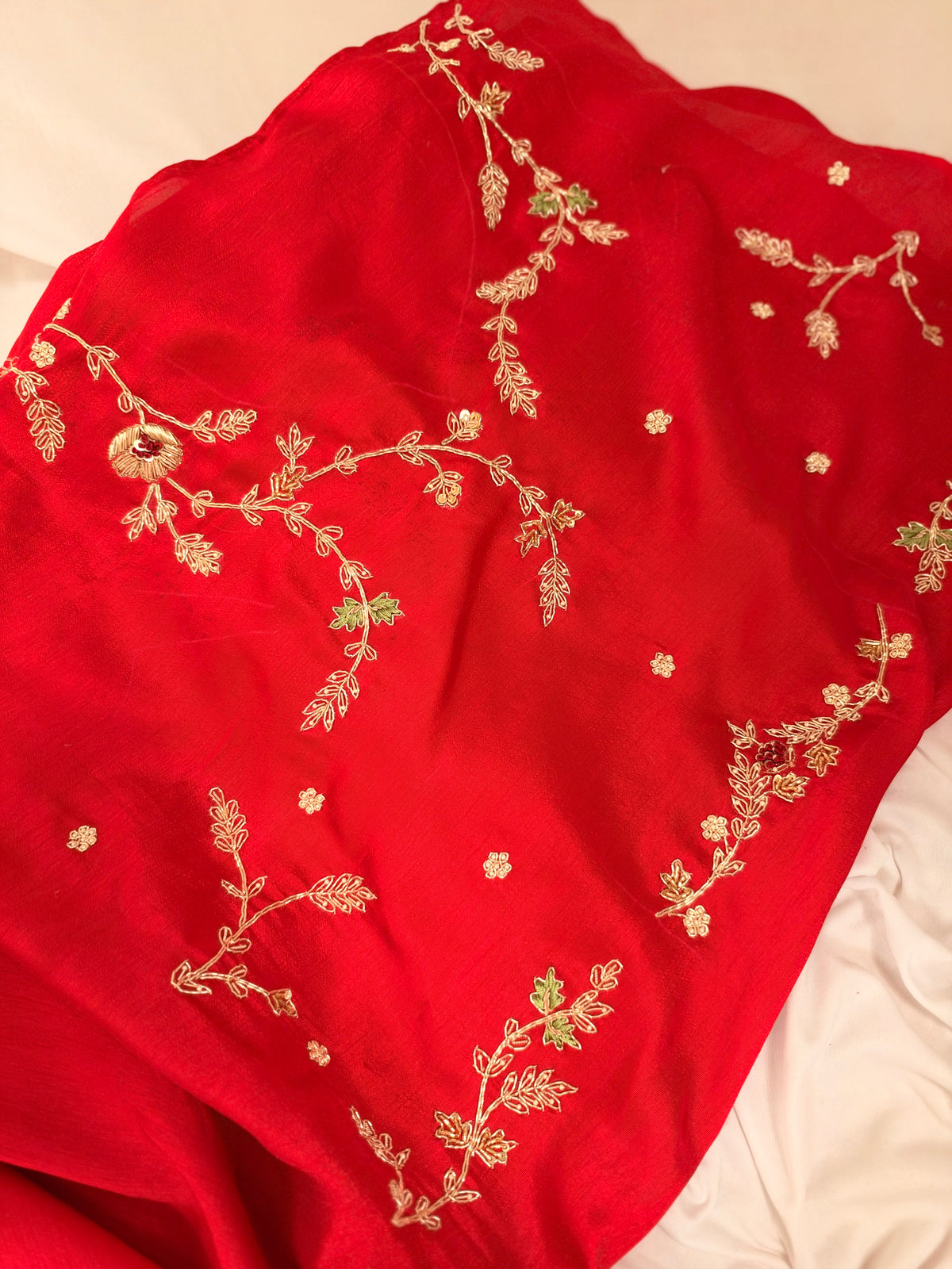 Laal Ishq zardosi kora Banarasi saree