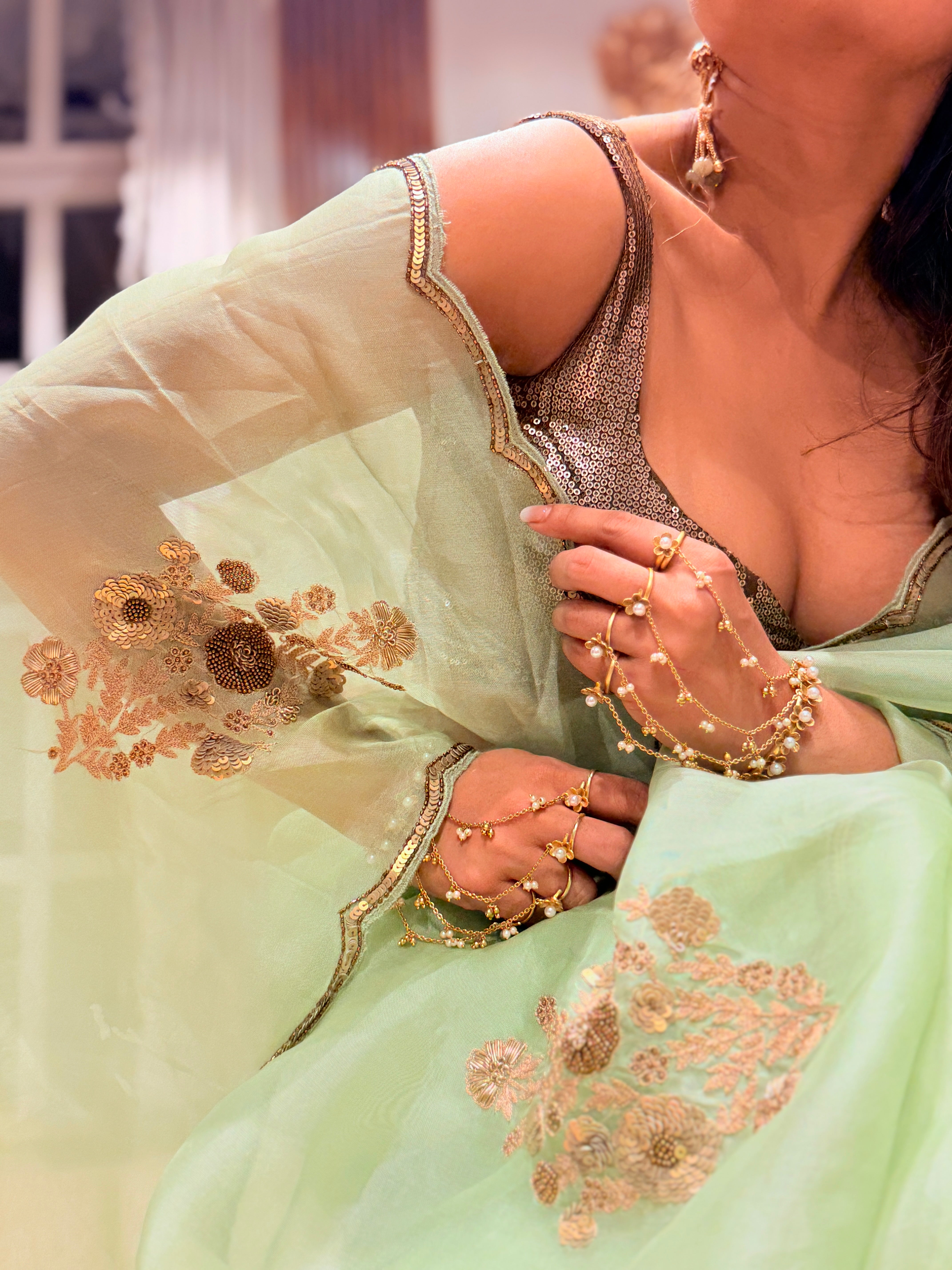 Sheer Pista Bageecha Saree