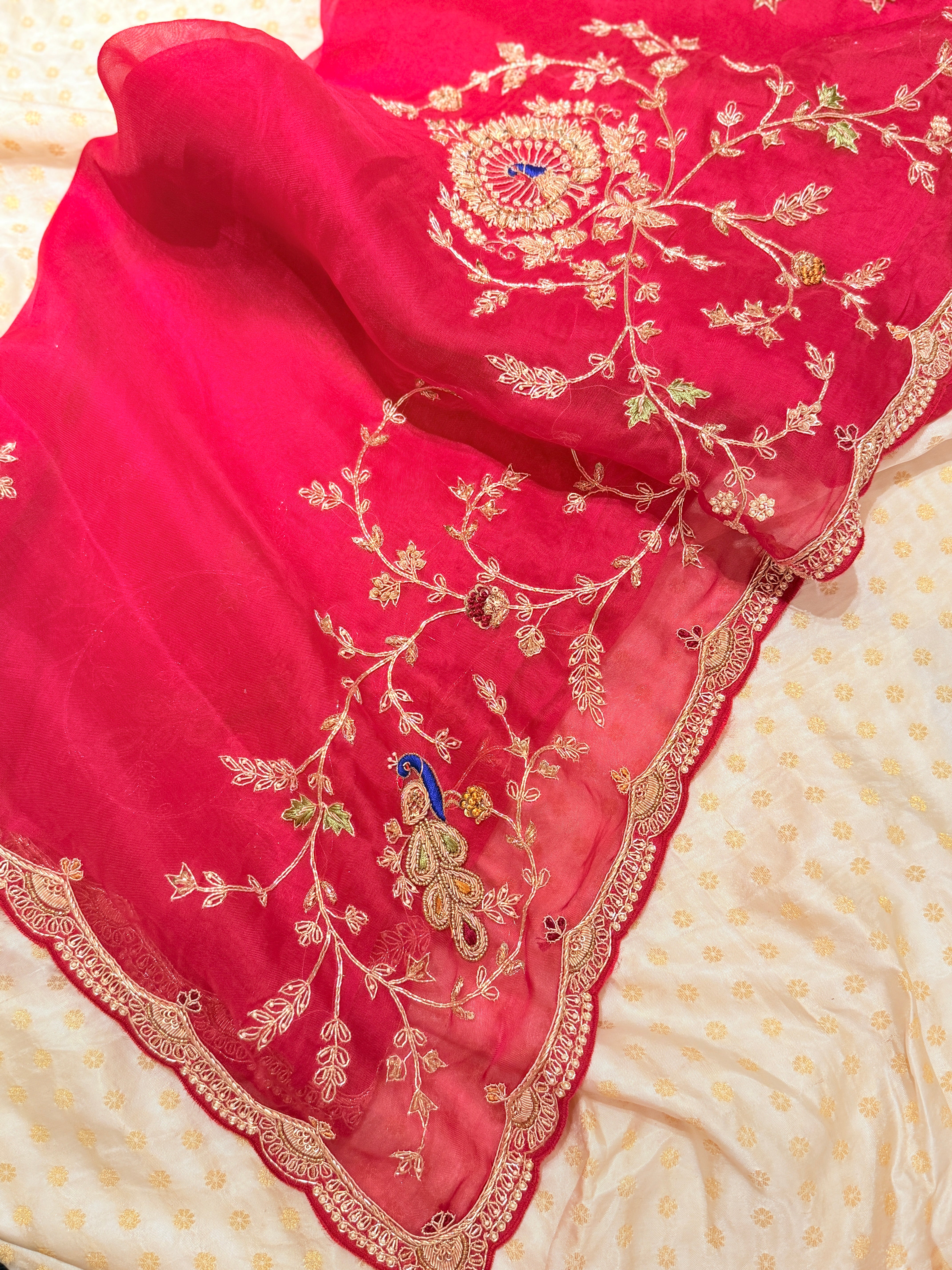 Laal Ishq zardosi kora Banarasi saree