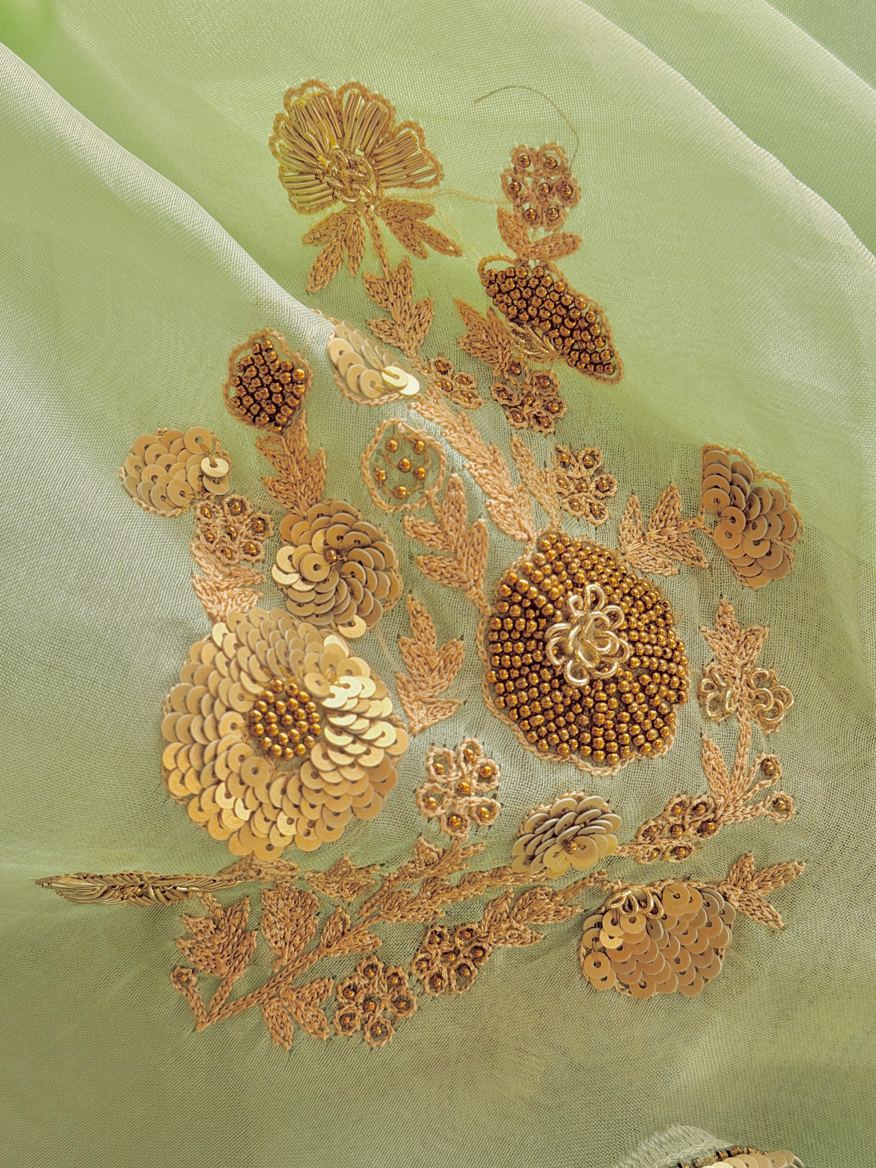 Sheer Pista Bageecha Saree