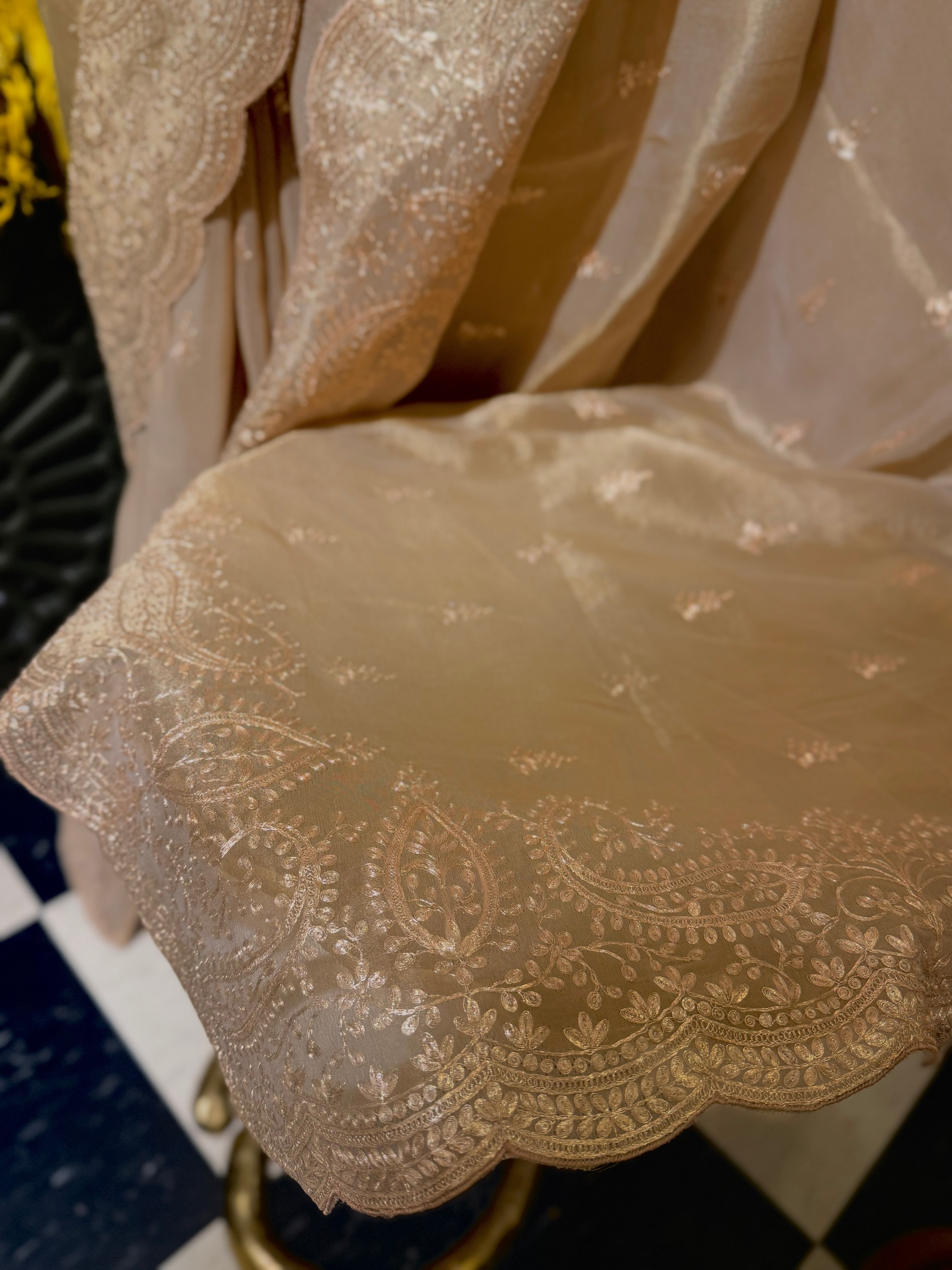 Sheen Pita  Zari work Pure Organza saree