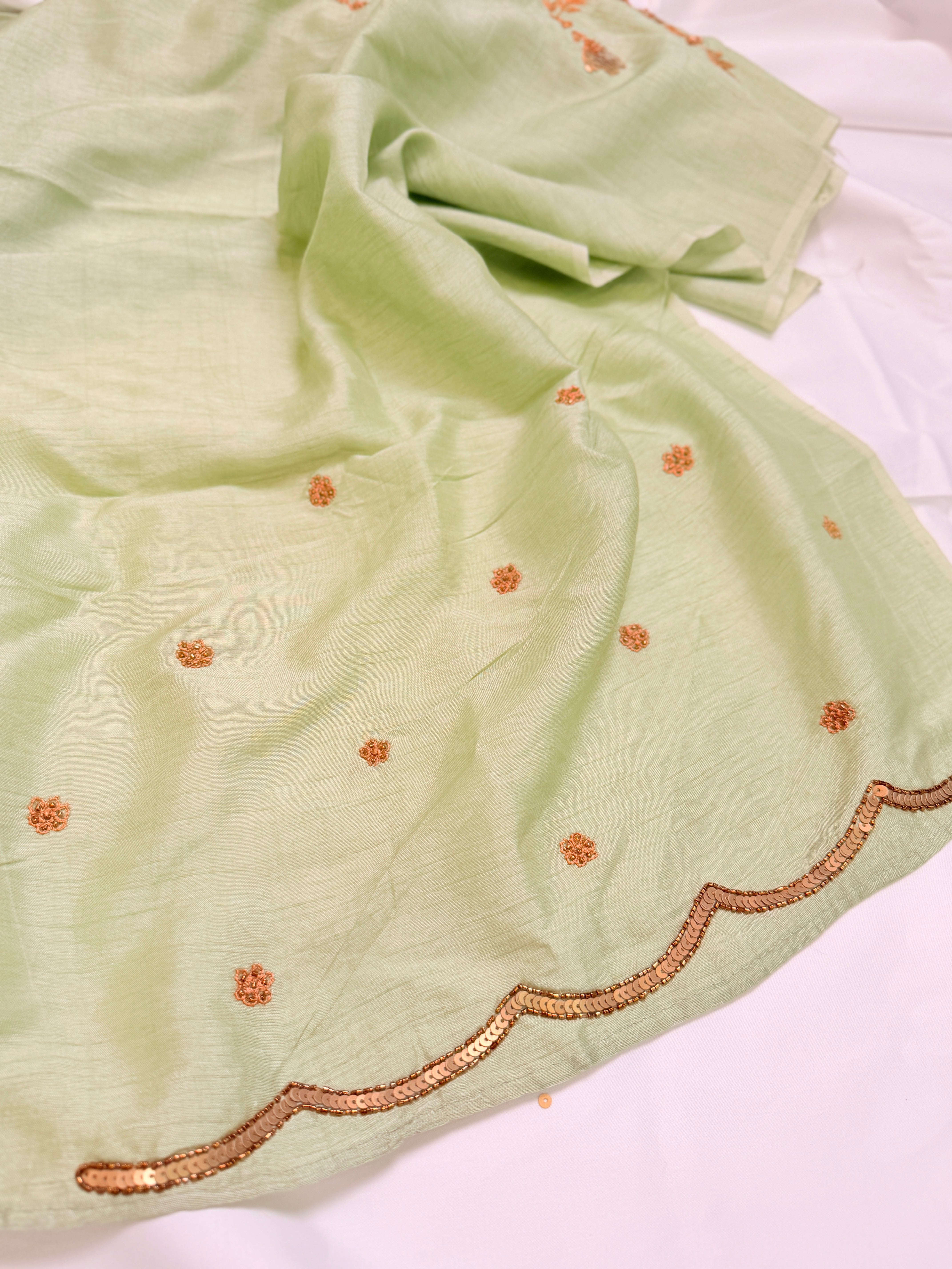 Sheer Pista Bageecha Saree