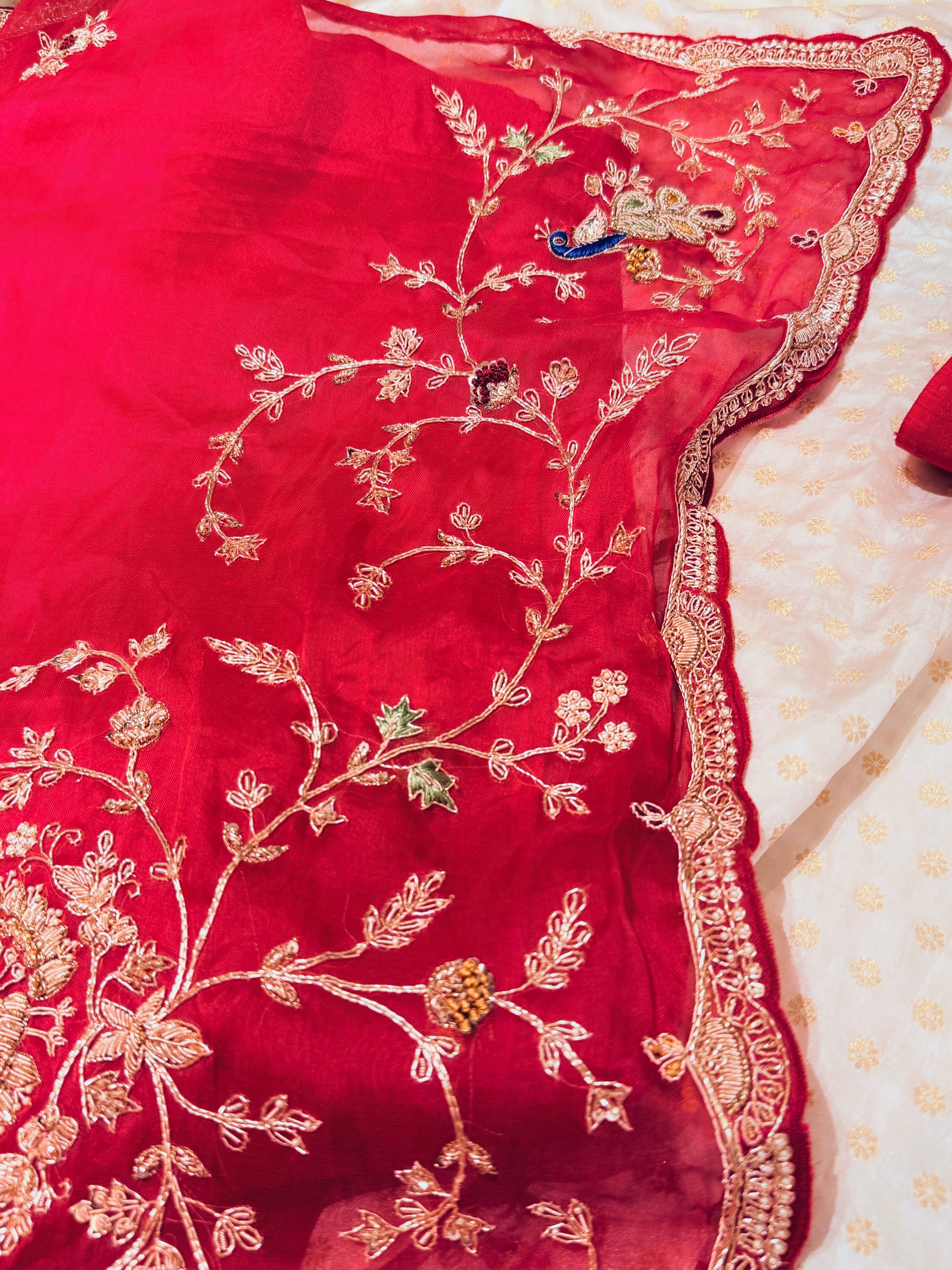 Laal Ishq zardosi kora Banarasi saree
