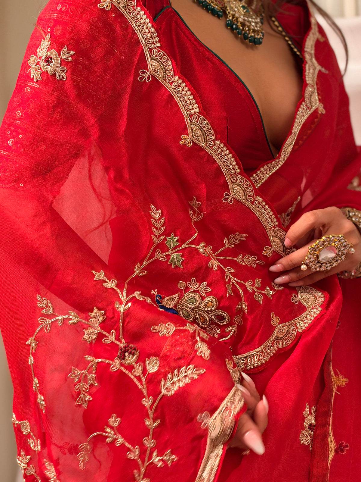 Laal Ishq zardosi kora Banarasi saree