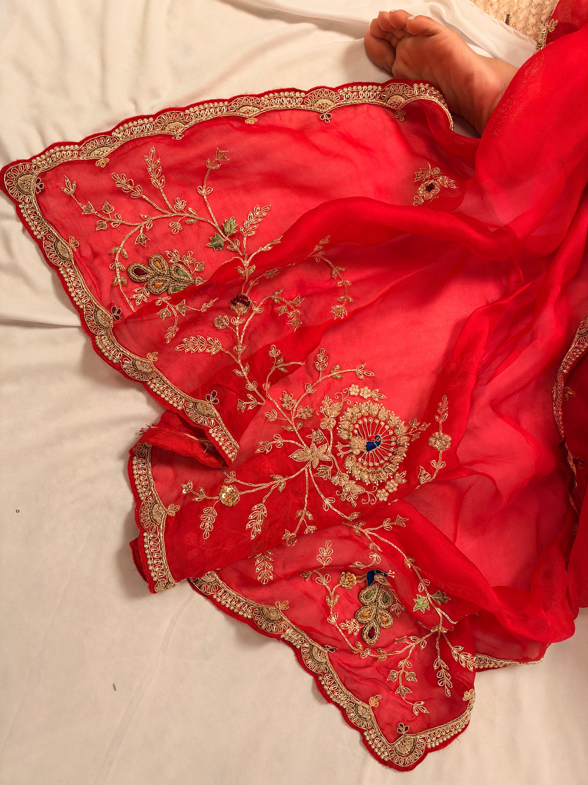 Laal Ishq zardosi kora Banarasi saree