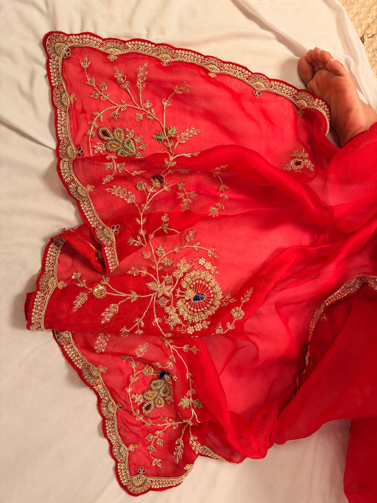 Laal Ishq zardosi kora Banarasi saree